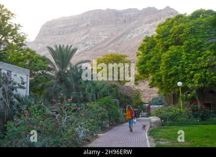 Ein Gedi - Kibbuz in Israel Stockfoto