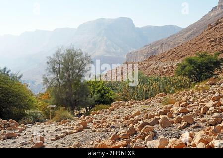 Ein Gedi, Oase in der Wüste, Israel Stockfoto