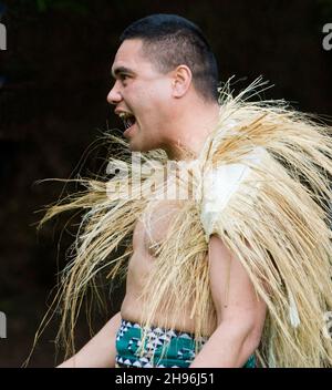 Traditionelle Begrüßung durch die Maori bei der offiziellen Zeremonie für den Präsidenten Mexikos, Herrn Filipan Calderon Hinojosa, während seines Staatsbesuchs in Auckland, Neuseeland, am Freitag, den 7. September 2007 im Regierungshaus. Stockfoto