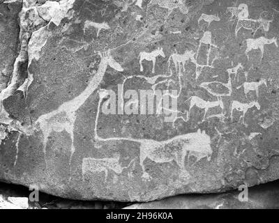 Prähistorische Bushman-Gravuren bei Twyfelfontein in Namibia Stockfoto