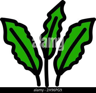 Seegras-Farbsymbol, Aquarienkonzept, Algenschild auf weißem Hintergrund, Fishbowl-Pflanzen-Symbol im flachen, einfachen Stil für mobiles Konzept und Webdesign. Vec Stock Vektor