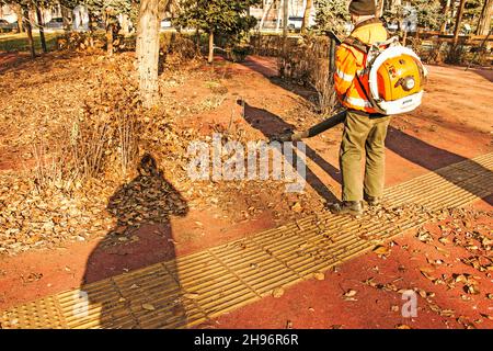 Dnepropetrovsk, Ukraine - 11.25.2021: Reinigung trockener Blätter mit einer Windmühle. Ein kommunaler Arbeiter säubert den Stadtpark. Stadtparks für den Winter vorbereiten Stockfoto