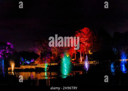 Farbenfrohe Brunnen im See bei Glow 2021, der jährlichen Weihnachtsbeleuchtung im RHS Garden, Wisley, Woking, Surrey Stockfoto