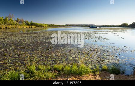 Lily Creek Lagoon, Kununurra, Kimberley Stockfoto