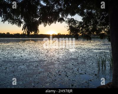 Sonnenuntergang über der Lily Creek Lagoon, Kununurra, Kimberley Stockfoto