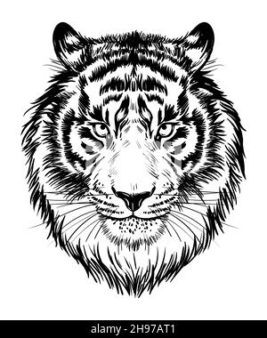 Realistisch gezeichnetes Gesicht eines Tigers, Vektordarstellung. Schnauze, Porträt eines Tigers - schwarz-weiße Grafik, Print, Poster. Stock Vektor