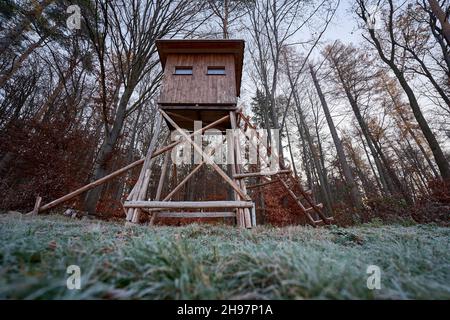 Jagdstand (hochsitz, jägersitz, hochstand) am Waldrand mit feuchtem Gras im Vordergrund. Ansicht von oben. Stockfoto