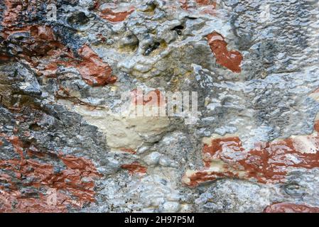 Wasser sickert und fließt über Mergel- und Siltstone-Felsen am hinteren Ende von Jackson's Bay auf Barry Island, Wales, Großbritannien Stockfoto