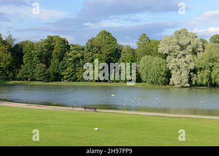 Blick auf den See im Verulamium Park, St Albans, Großbritannien Stockfoto