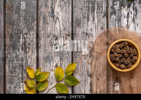 Stillleben mit herbstlichen Blättern und Nüssen auf Holztopf Stockfoto