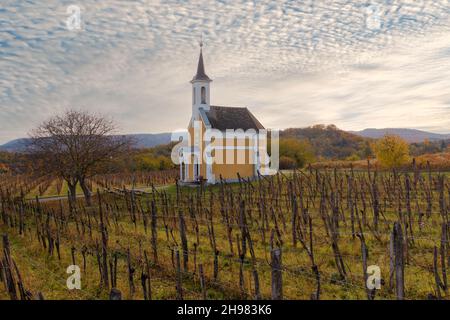 Erstaunliche kleine Kapelle in der Nähe des Plattensees in Ungarn. Neben der Stadt Lencseitsvand. Erstaunliche Stimmung im Herbst mit Traubenfeldern. Dieser Gebäudename ist jungfräulich Stockfoto