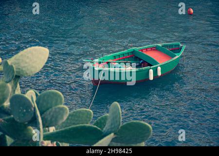 Schöne alte farbige Angeln leere Holzboot auf dem Wasser mit stacheligen Birnen Kaktus Pflanze im Vordergrund Stockfoto