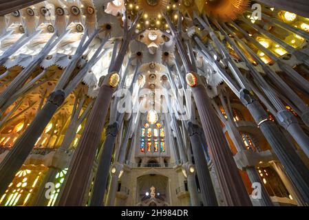 Barcelona, Spanien - 22 Nov, 2021: Innendecke der Basilika Sagrada Familia, Barcelona, Katalonien, Spanien Stockfoto