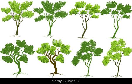vektorbäume auf weißem Hintergrund isoliert, setzen Vektorbäume Bildkomponente Stock Vektor
