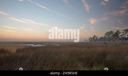 Ein leicht nebelender Morgen über dem Salzmarsch bei Sonnenaufgang entlang des Tolomato River in Florida. Stockfoto