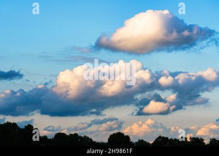 Wolken, die von der untergehenden Sonne an einem klaren Himmel erleuchtet werden. Stockfoto