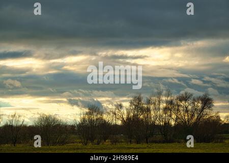 Sonnenuntergang mit brennendem Himmel hinter den Bäumen. Kräftige warme Farben Stockfoto