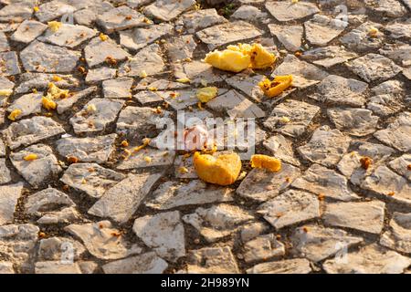 Textur von karierten Steinen in geometrischer Form auf dem Boden. Museum für Moderne Kunst von Bahia, Brasilien. Stockfoto