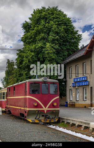 Schmalspurbahn Tremesna ve Slezsku nach Osoblaha mit 60 Jahre alter Lokomotive Stockfoto