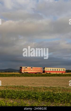 Schmalspurbahn Tremesna ve Slezsku nach Osoblaha mit 60 Jahre alter Lokomotive Stockfoto