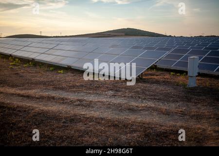 Solarpark, ein großes Grundstück mit montierten Sonnenkollektoren. Stockfoto