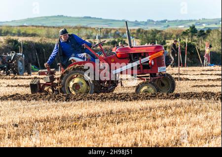 Clonakilty, West Cork, Irland. 5th Dez 2021. Die West Cork Pflügen Association veranstaltete heute ein Pflügen-Match in Clonakilty. Unter den Teilnehmern war Gordon Jennings aus Clonakilty mit seiner 1952 Massey Harris. Quelle: AG News/Alamy Live News Stockfoto