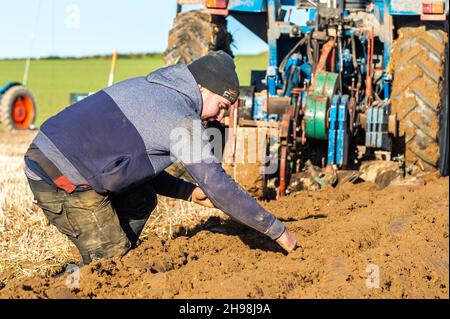 Clonakilty, West Cork, Irland. 5th Dez 2021. Die West Cork Pflügen Association veranstaltete heute ein Pflügen-Match in Clonakilty. Kieran Coakley aus Clonakilty stellte seine Furchen während des Spiels ein. Quelle: AG News/Alamy Live News Stockfoto