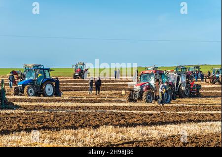 Clonakilty, West Cork, Irland. 5th Dez 2021. Die West Cork Pflügen Association veranstaltete heute ein Pflügen-Match in Clonakilty. Sowohl die Teilnehmer als auch die Zuschauer waren sehr anwesend. Quelle: AG News/Alamy Live News Stockfoto