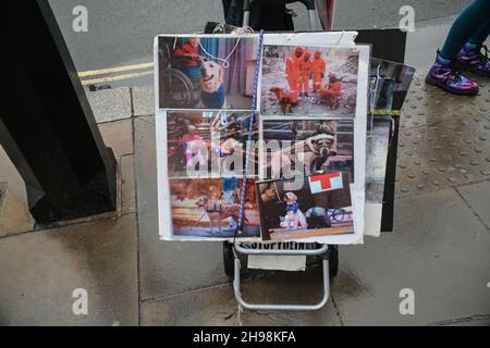 London, Großbritannien. 05th Dez 2021. Tierrechtsaktivisten setzen am 5th. Dezember 2021 Demonstrationen zur Befreiung der Beagles am Bahnhof Charing Cross fort, marschieren in die Downing Street, fordern die Schließung des Huntingdon-Camps, um legal Welpen zu züchten, Beagles Dog für experimentelle Drogen, ist das Gesetz, macht es Sinn, dass Hundebesitzer Haustiere lieben, Aber essen Hühner, Kuh, Schweine, Schafe ect. Wir sind auch die ersten, die China kritisieren. China bereits verbieten Hunde Fleisch Festival 2017, britische weiterhin legalisieren Grausamkeit an Hunden für experimentelle London, Großbritannien. Kredit: Picture Capital/Alamy Live Nachrichten Stockfoto