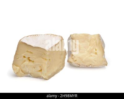 Zwei Käsebrieme auf weißem Hintergrund Stockfoto