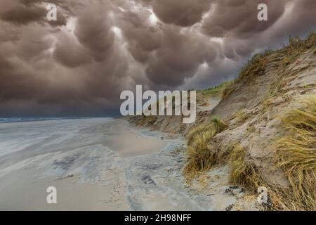 Küstenlandschaft nach einem schweren Sturm mit schweren Schäden am Dünenrand der Hollands Duin in der niederländischen Provinz Südholland mit eingestürztem d Stockfoto