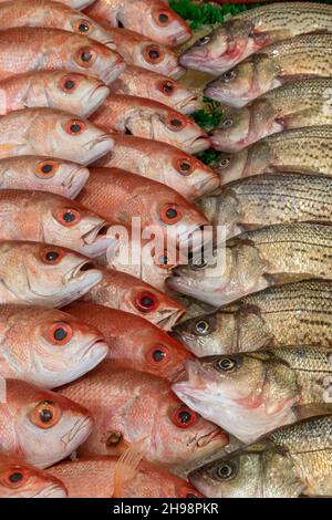 Washington, DC - Fisch zum Verkauf auf dem Municipal Fish Market. Der 1805 gegründete Fischmarkt ist der älteste kontinuierlich tätige Freiluft-Fischmarkt in der U Stockfoto