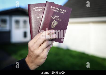 5. Dezember 2021, Cork, Irland - jemand, der 2 portugiesische Pässe mit einem unbestimmten Hintergrund hält Stockfoto