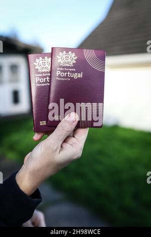 5. Dezember 2021, Cork, Irland - jemand, der 2 portugiesische Pässe mit einem unbestimmten Hintergrund hält Stockfoto