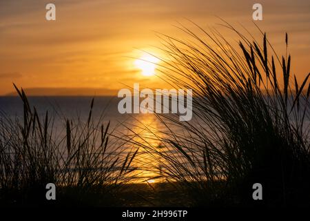 Malerischer Sonnenuntergang auf den Dünen und durch die Gräser in Richtung Isle of Wight bei West Wittering. Stockfoto