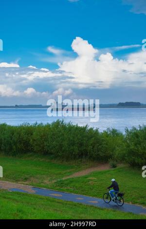 Elbe bei Wisch, Niedersachsen, Deutschland Stockfoto