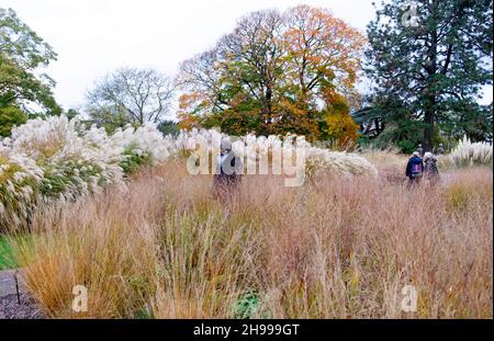 Menschen, die im Gras spazieren Gartenansicht der Kew Gardens im November 2021 Herbst Richmond Surrey London England Großbritannien KATHY DEWITT Stockfoto