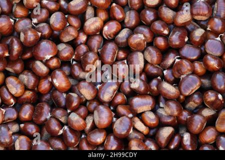 Kastanien der Herbstsaison zum Verkauf, typische italienische Saisonobst Stockfoto
