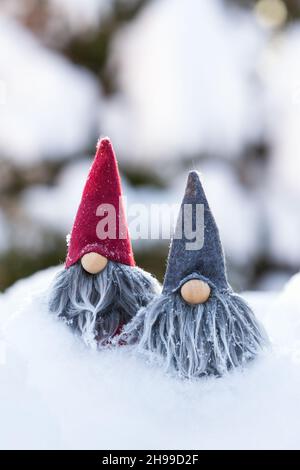 Niedliche zwei graue bärtige Zwerge im Schnee vor Bokeh Winterwald Hintergrund. Stockfoto