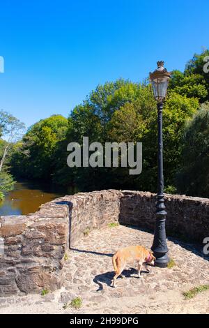 Alte Brücke am Fluss Vezere in Frankreich Stockfoto