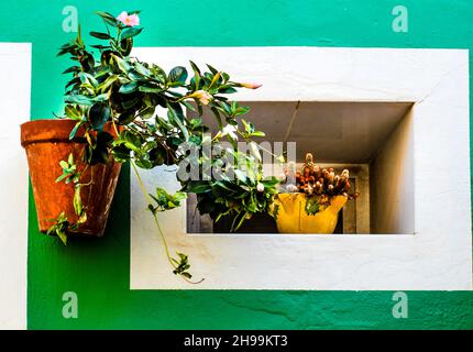 Schöne Töpfe an der grünen Fassade eines Hauses in Polop, Alicante, Spanien Stockfoto