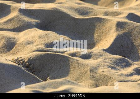 Sandiger Hintergrund am Meeresstrand gebildet. Diese sandige Oberfläche wurde am Ostseestrand in Kolobrzeg, Polen, beobachtet. Stockfoto