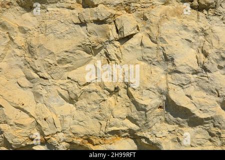 Die raue Oberfläche einer Steinmauer schafft einen Hintergrund. Stockfoto