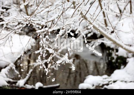 Bach im Winterwald, Blick durch schneebedeckte Bäume. Natur nach Schneefall, kaltes Wetter Stockfoto