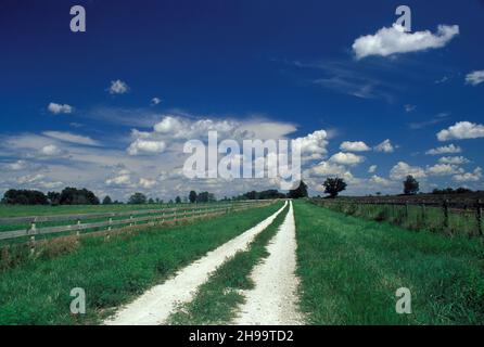 An einem perfekten Tag, den USA, erstreckt sich eine Schotterstraße für immer entlang einer grasbewachsenen Farm im amerikanischen Mittleren Westen Stockfoto
