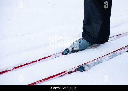 Der Mensch fährt Ski. Nahaufnahme der Beine in grauen Skischuhen auf Skiern, Mann, der an klaren, sonnigen Tagen im Schnee reitet, Seitenansicht Stockfoto