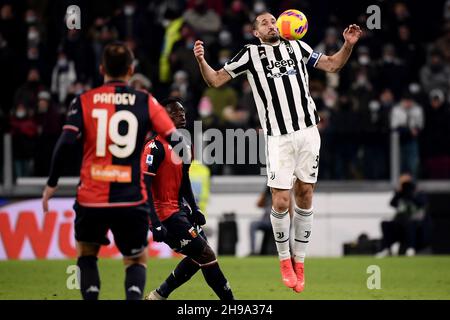 Turin, Italien. 05th Dez 2021. Giorgio Chiellini vom FC Juventus in Aktion während des Fußballspiels der Serie A 2021/2022 zwischen dem FC Juventus und dem FC Genua im Juventus-Stadion in Turin (Italien), 5th. Dezember 2021. Foto Federico Tardito/Insidefoto Kredit: Insidefoto srl/Alamy Live News Stockfoto