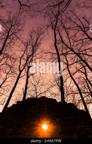 Mystischer Sonnenschein im Wald Stockfoto