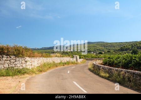 Berühmte historische landwirtschaftliche griechische Ebene in Stari Grad auf der Insel Hvar, Kroatien Stockfoto