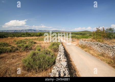 Berühmte historische landwirtschaftliche griechische Ebene in Stari Grad auf der Insel Hvar, Kroatien Stockfoto